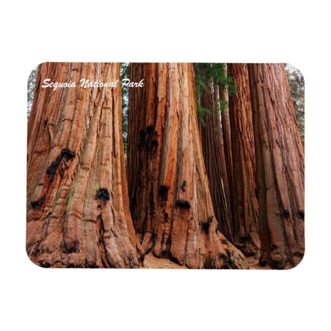 Íman Parque Nacional Sequoia (Horizontal)