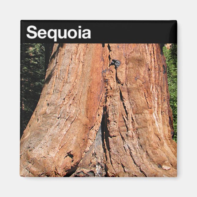 Íman Parque Nacional Sequoia (Frente)