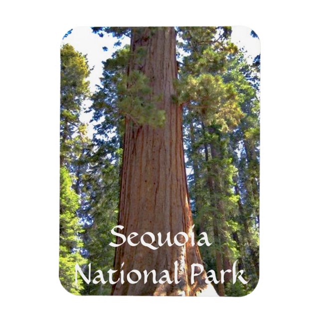 Íman Parque Nacional Sequoia (Vertical)
