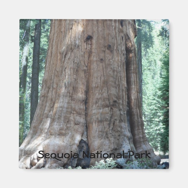 Íman Parque Nacional Sequoia (Frente)