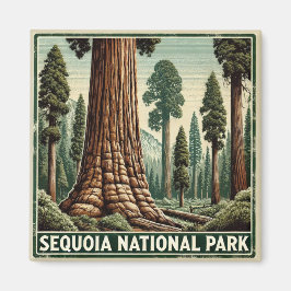 Íman Parque Nacional Sequoia