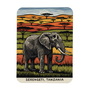 Íman Parque Nacional Serengeti Tanzânia