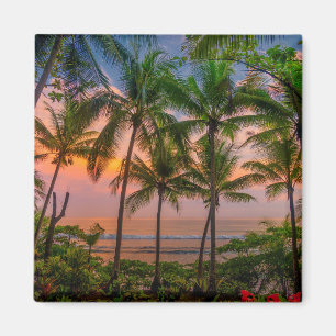 Íman Parque nacional tropical da praia   Corcovado