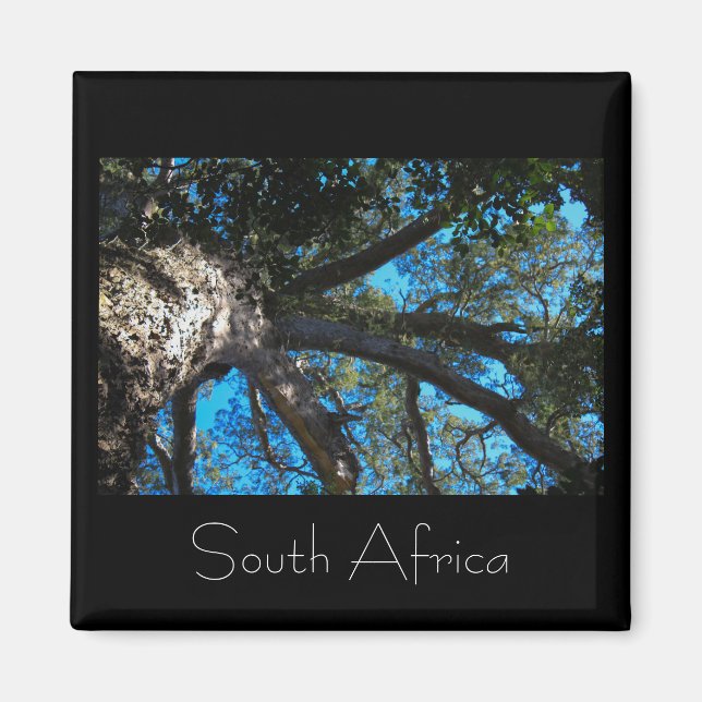 Íman Parque Nacional Tsitsikamma África do Sul (Frente)