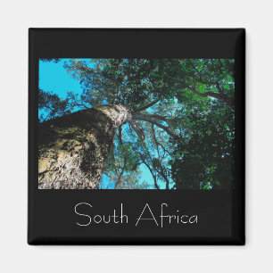 Íman Parque Nacional Tsitsikamma África do Sul