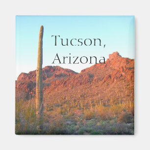 Íman Parque nacional Tucson de Saguaro, arizona