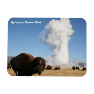 Íman Parque Nacional Yellowstone