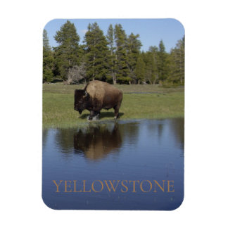 Íman Parque Nacional Yellowstone Bison