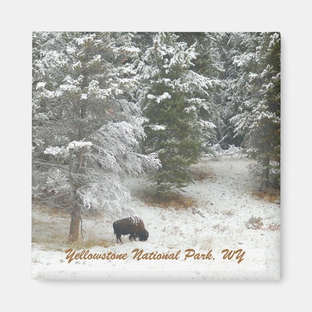 Íman Parque Nacional Yellowstone, WY (Frente)