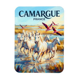 Íman Parque Natural Regional de Camargue França