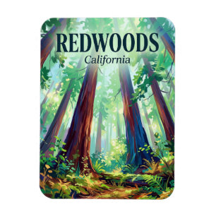 Íman Parques Nacional e Estaduais de Redwood Califórnia