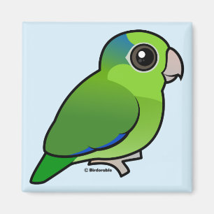 Íman Parrotlet Pacífico Verde