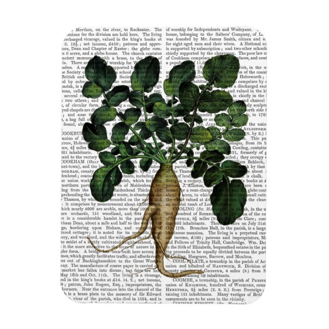 Íman Parsnip 1 (Vertical)