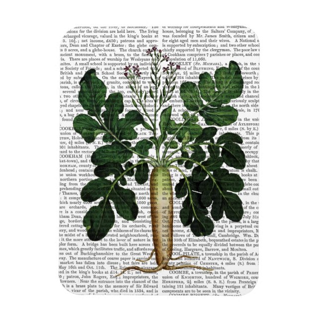 Íman Parsnip 3 (Vertical)