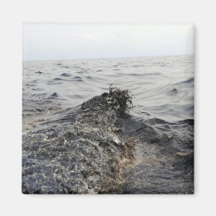 Íman Parte de um liso de óleo no Golfo do México