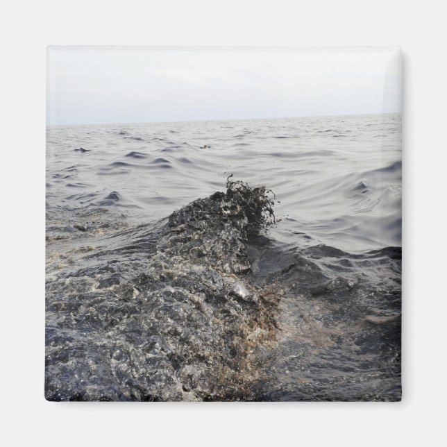 Íman Parte de uma maré negra no Golfo do México (Frente)