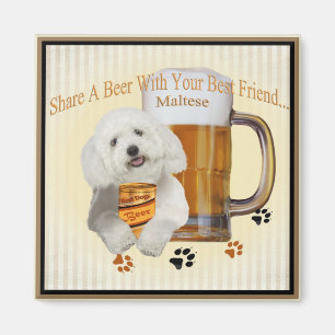 Íman Parte maltesa uma cerveja com seu melhor amigo