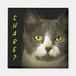 Íman PARTE? Sobras obtidas? Gatinho de Hugery