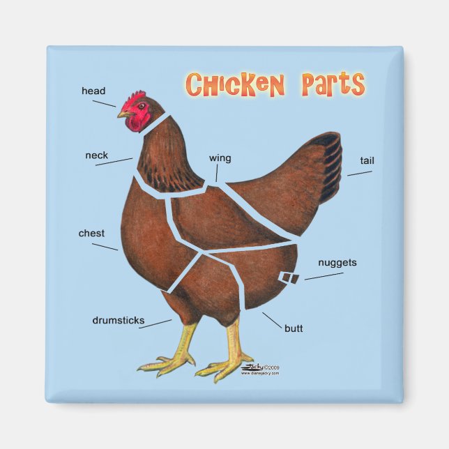 Íman Partes de Frango (Frente)