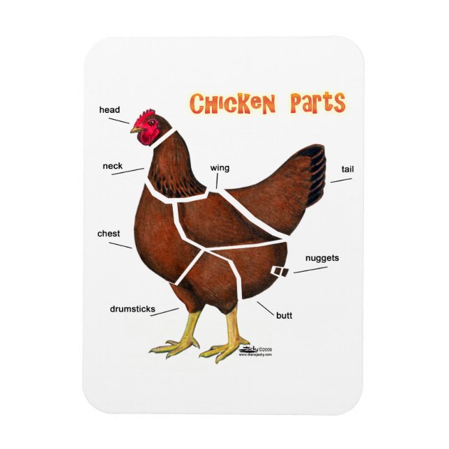 Íman Partes de Frango (Vertical)