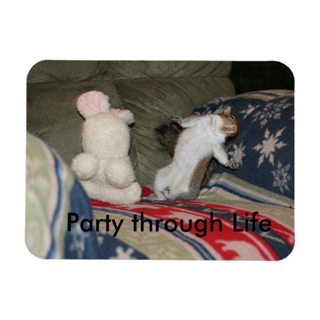 Íman Partir através do Magnet (Horizontal)