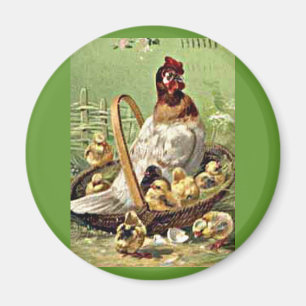 Íman Páscoa e Pintinhos no soquete