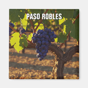 Íman Paso Robles Califórnia Costa Central