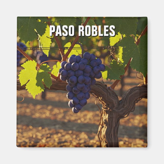Íman Paso Robles Califórnia Costa Central (Frente)