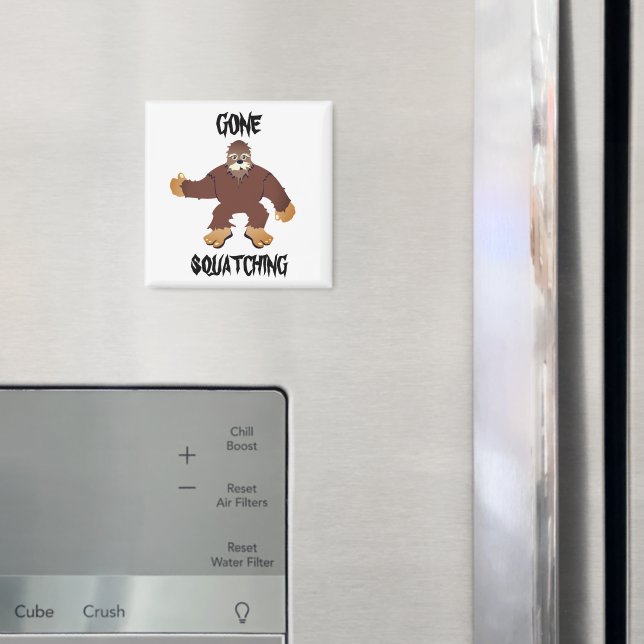 Íman Passando ao Esquadrão (In Situ (Fridge))