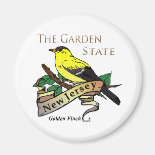 Íman Passarinho do ouro de New-jersey garden state