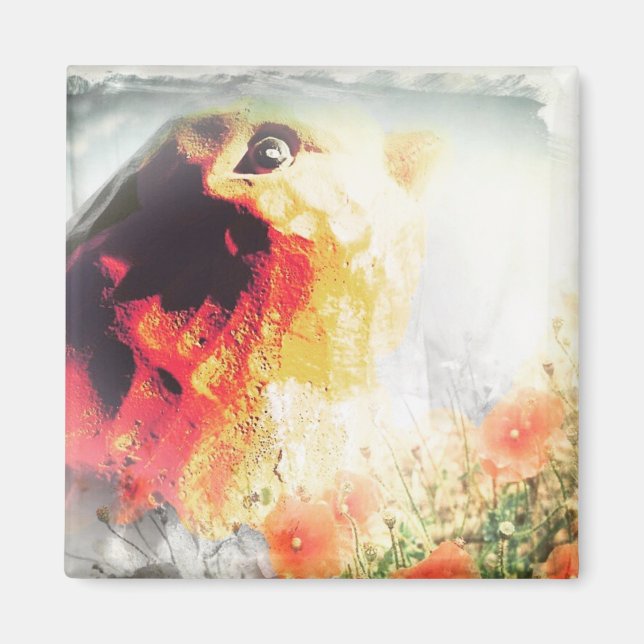 Íman Pássaro (Frente)