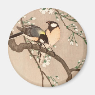 Íman Pássaro asiático chinês Chicadee