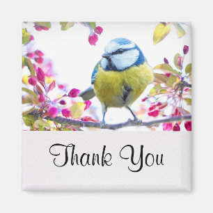 Íman  Pássaro Azul e Amarelo bonito em uma Fotografia 