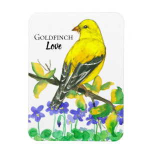 Íman Pássaro de estado do amor americano do Goldfinch