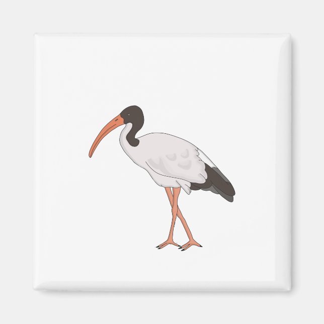 Íman Pássaro de frango Caixa Ibis (Frente)