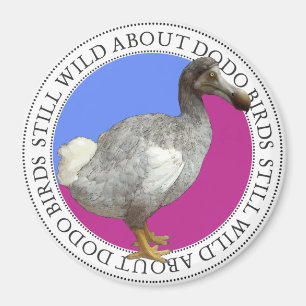 Íman Pássaro do Dodo