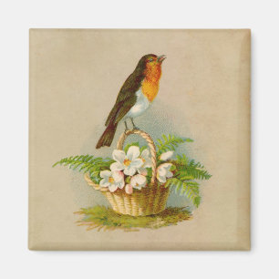 Íman Pássaro do primavera na cesta