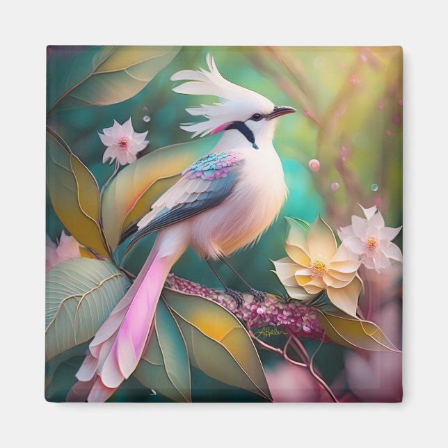 Íman Pássaro Fantasia Branca - Blush Tail Jay (Frente)