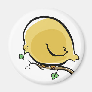 Íman pássaro grande