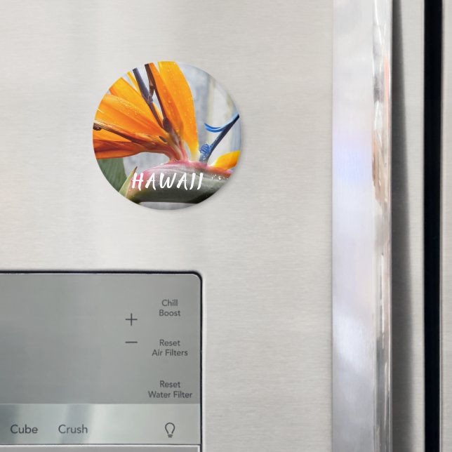 Íman Pássaro Havaí da Flor da Fábrica de Paraíso (In Situ (Fridge))