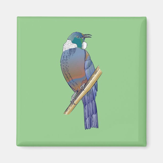 Íman Pássaro Tui Nova Zelândia (Frente)