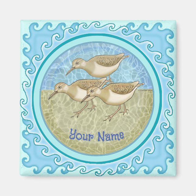 Íman Pássaros (Frente)