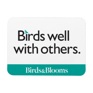 Íman Pássaros bem com outros