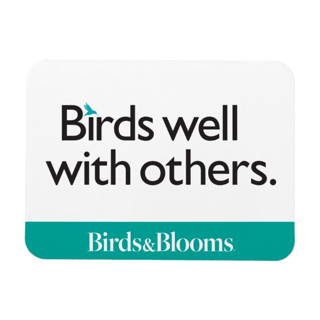 Íman Pássaros bem com outros (Horizontal)