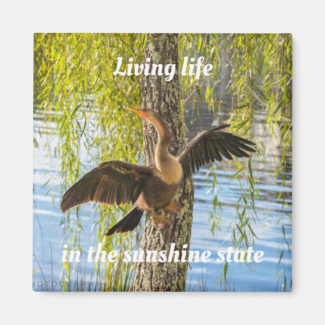 Íman Pássaros da Flórida 2 Polegadas (Frente)