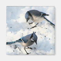 Pássaros do Jay Azul na Natureza da Neve
