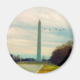 Íman pássaros do monumento de Washington