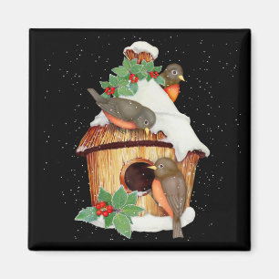 Íman Pássaros e Birdhouse do inverno