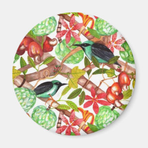Íman Pássaros e ímã tropicais das frutas