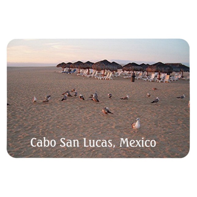Íman Pássaros na praia em Cabo (Horizontal)